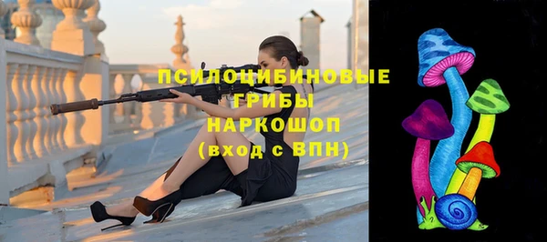 гидра Арсеньев