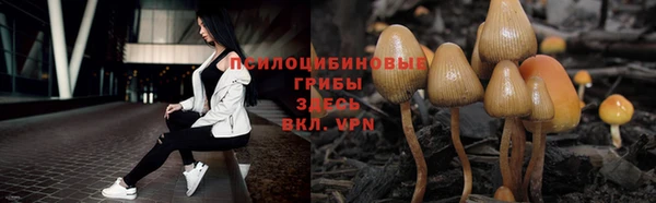 MESCALINE Аркадак