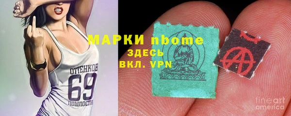 гидра Арсеньев