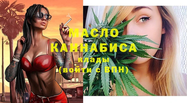 гидра Арсеньев