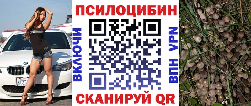 omg как зайти  Верхняя Пышма  Псилоцибиновые грибы Magic Shrooms 